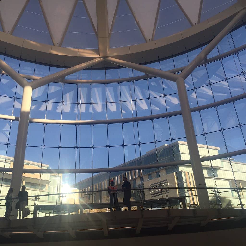 Lindokuhle Sobekwa's 'Umkhondo: Going Deeper'