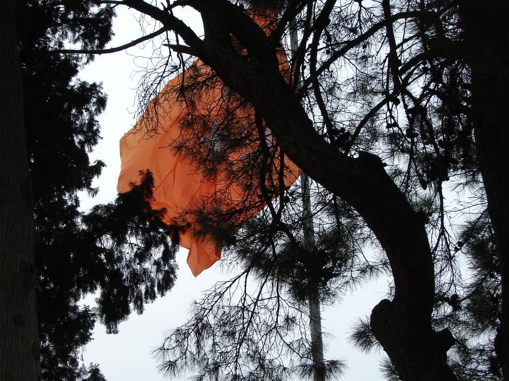 The "Dur Yolcu" Inscription