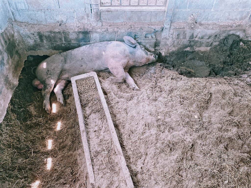 Scenic Reservoir Views