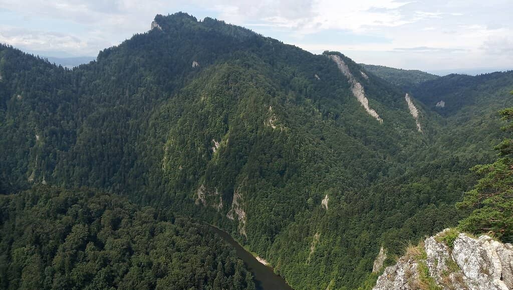 Dunajec River Gorge View