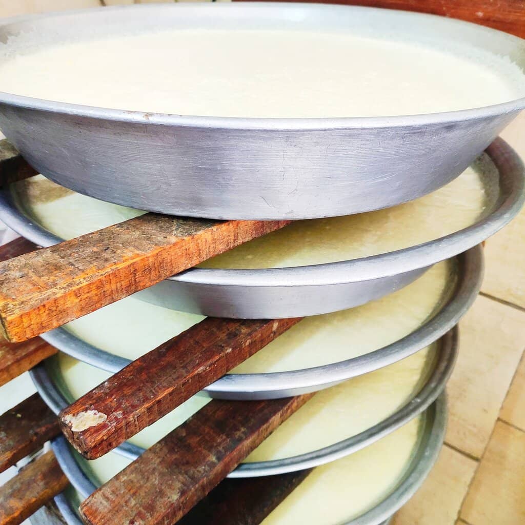 Street Food Delights