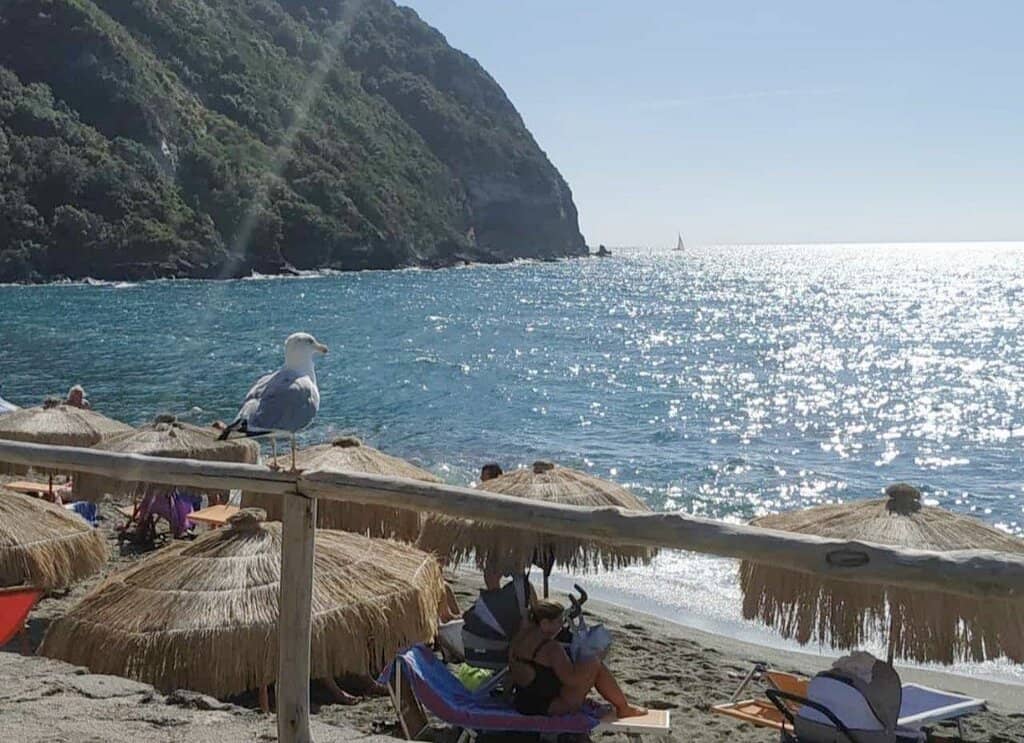 The Free Beach Section