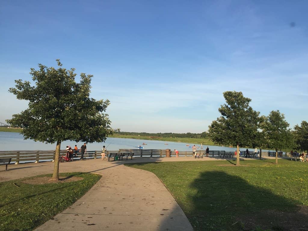 Monarch Butterfly Sightings