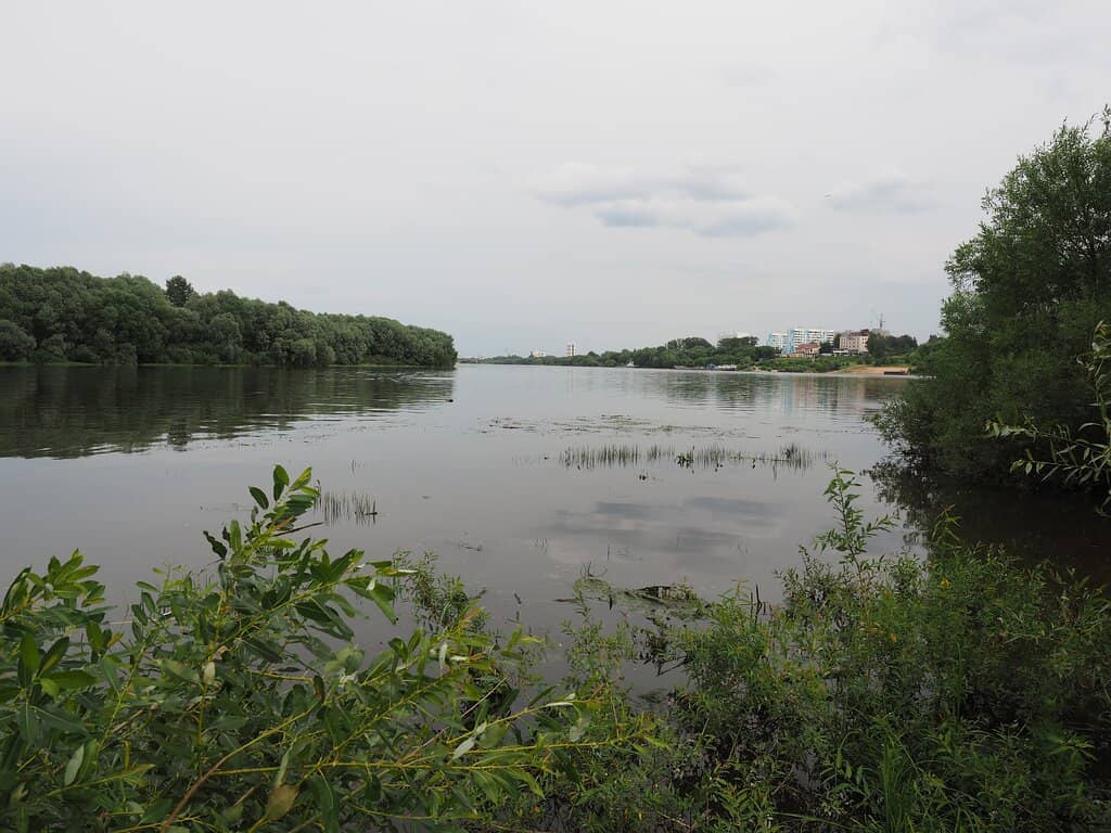 Scenic Roadside Stop