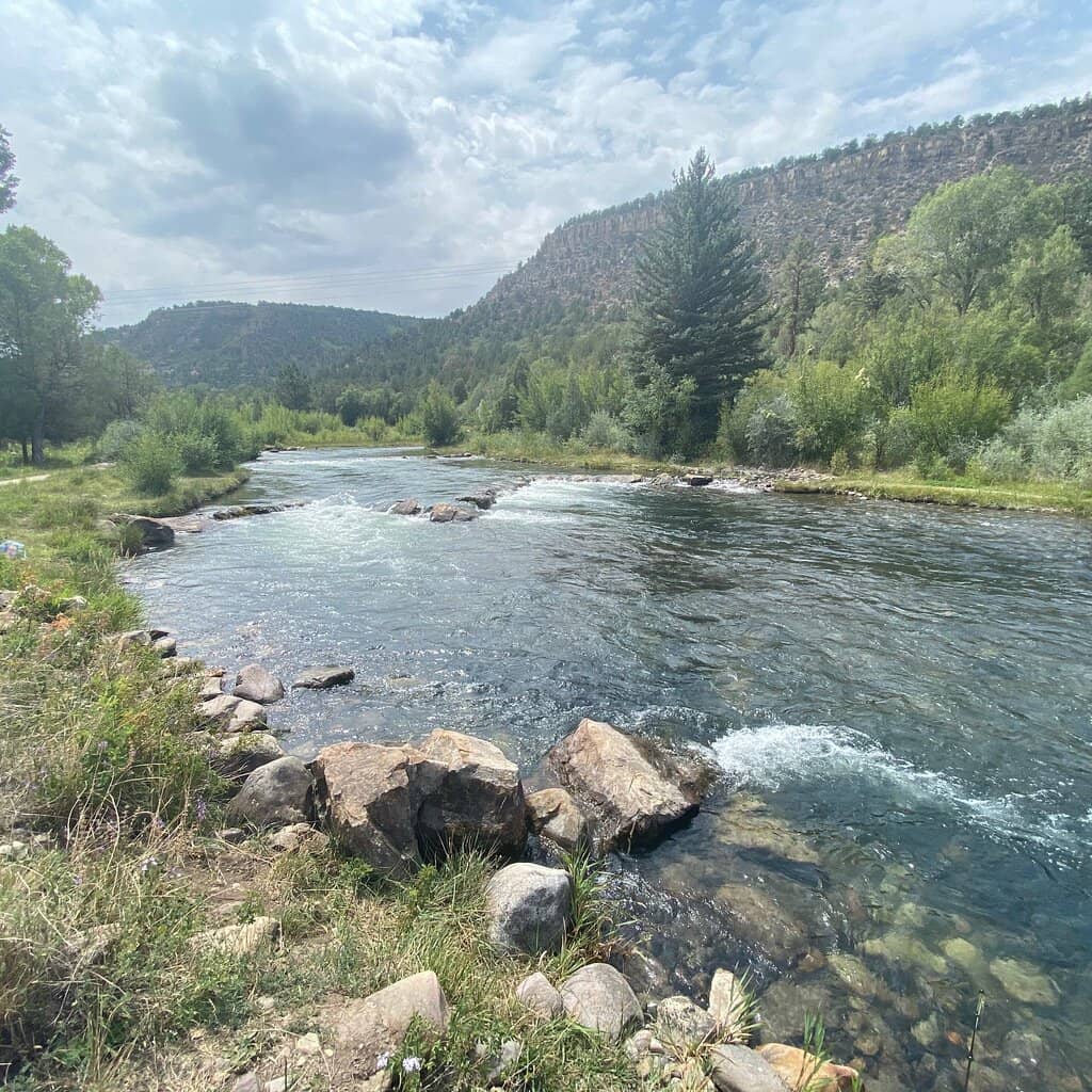 Uncompahgre River Fishing