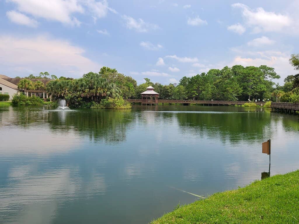 Waterfront Picnic Spots