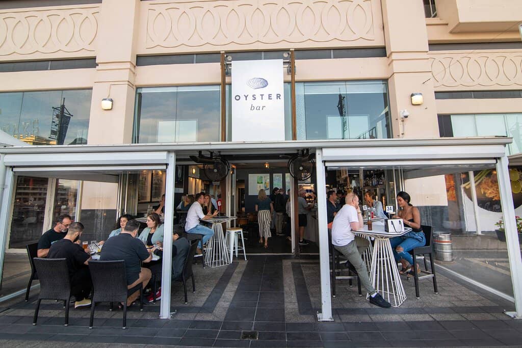 Dolphin Watching Cruise