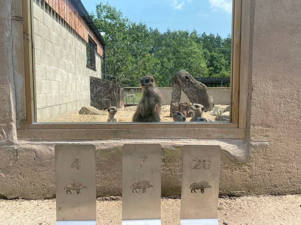 Tractor Barrel Rides