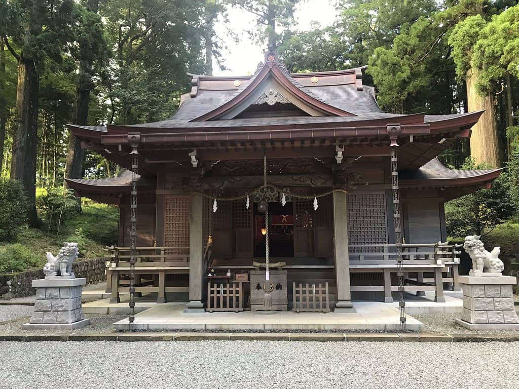 Peaceful Forest Ambiance