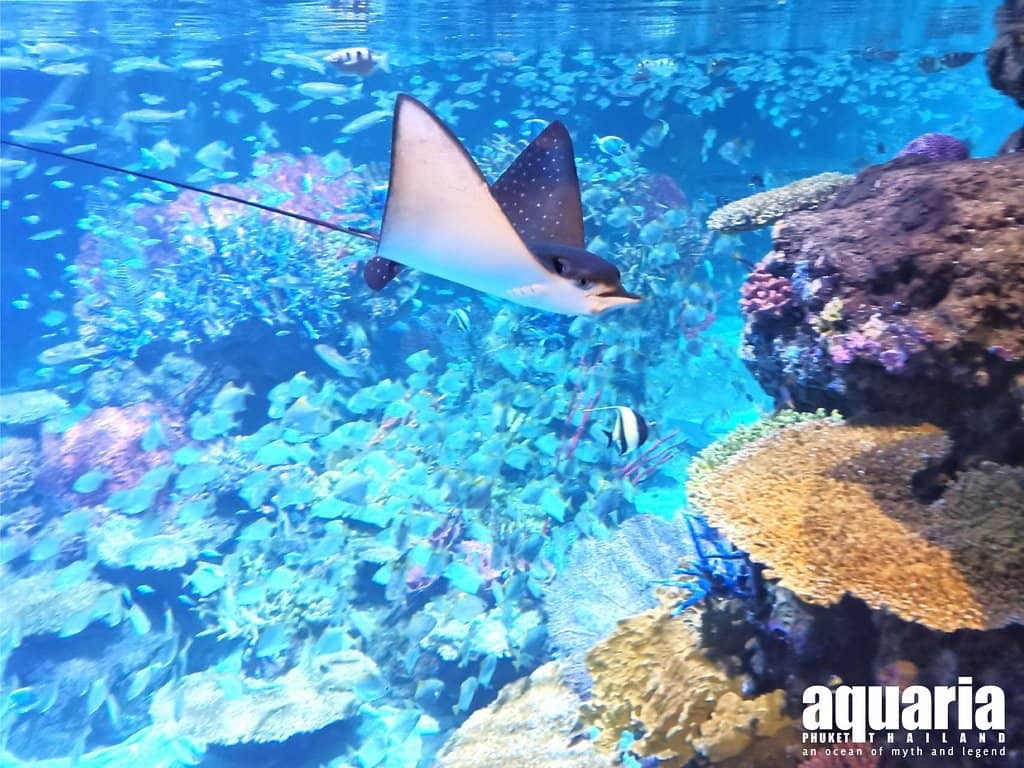 Su Va Na Underwater Restaurant