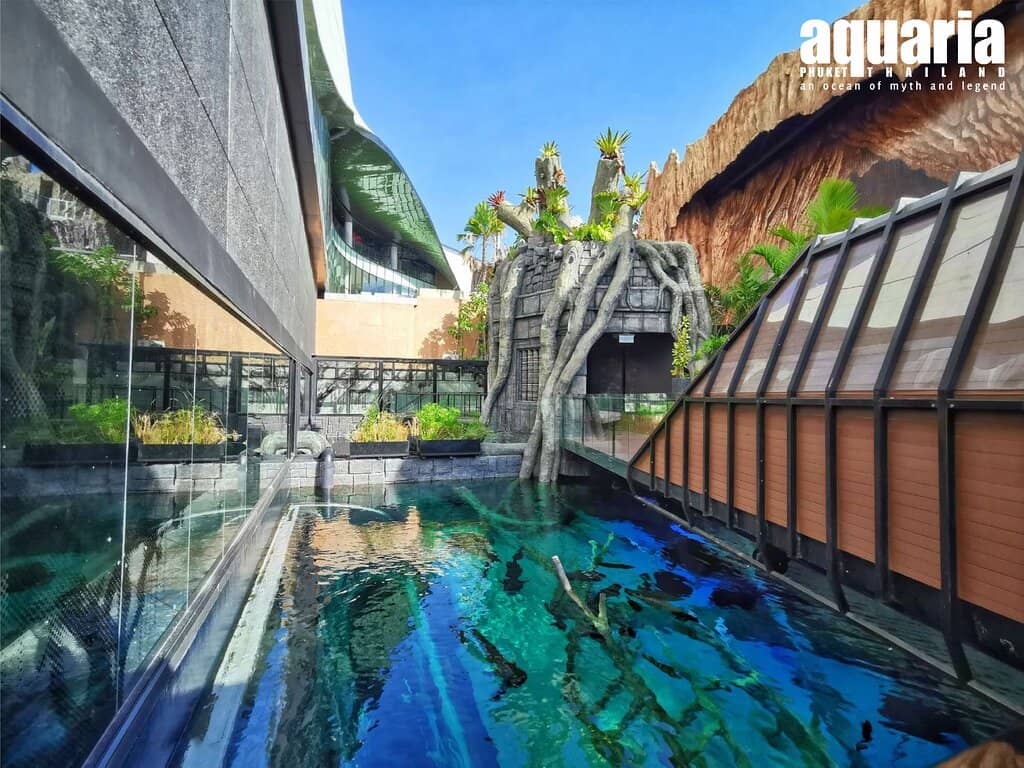 Mermaid and Merman Shows