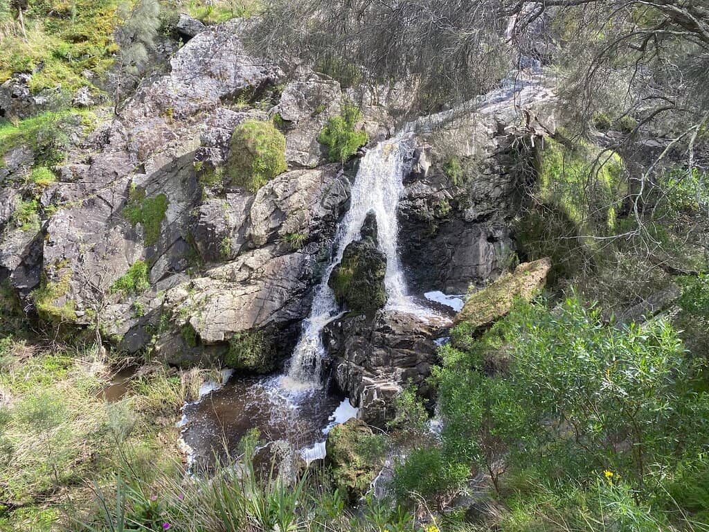 Picnic and Wildlife Spotting