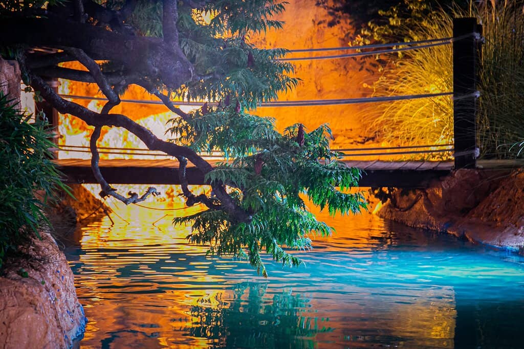 Botanical Garden Setting