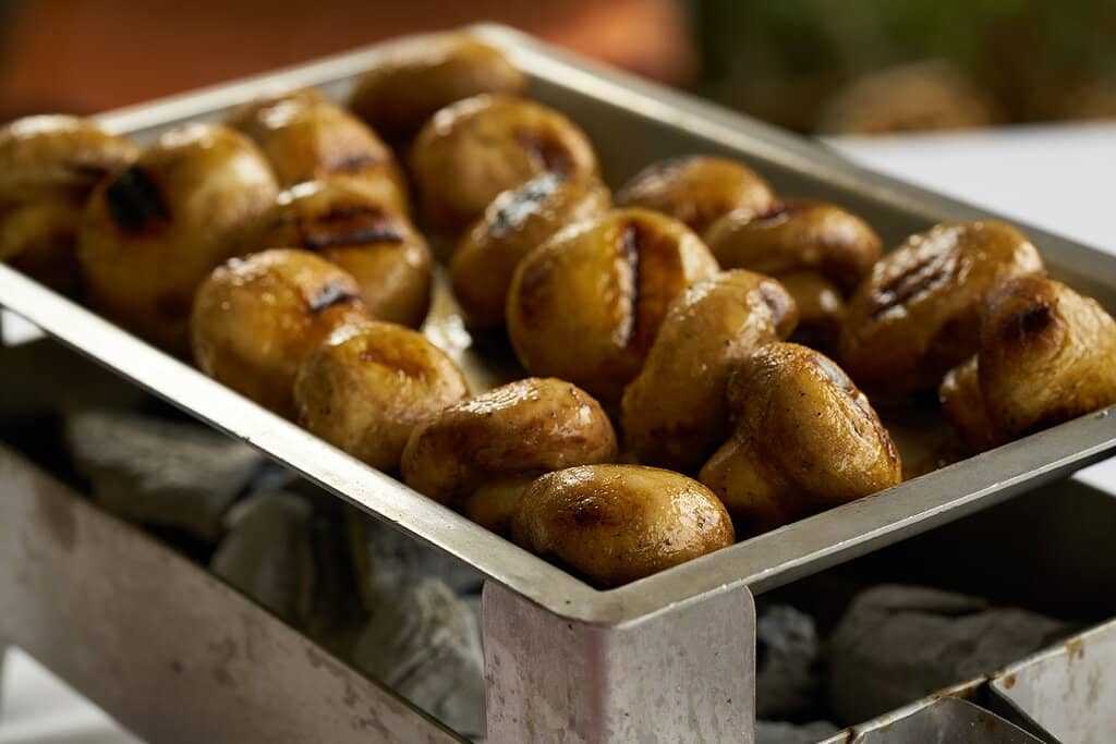 Vibrant Atmosphere & Service