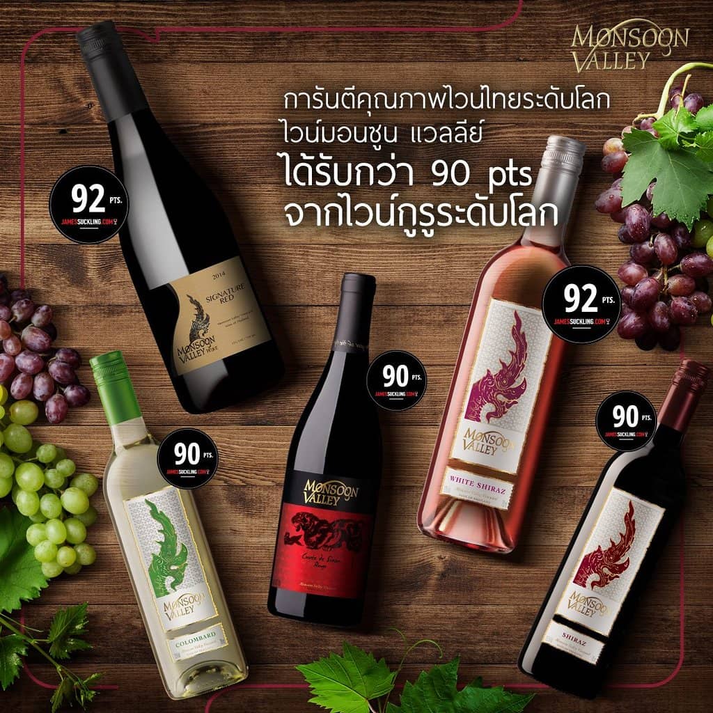 Elephant Sanctuary Visit