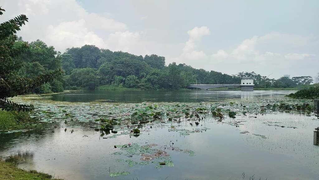 Extensive Book Collection