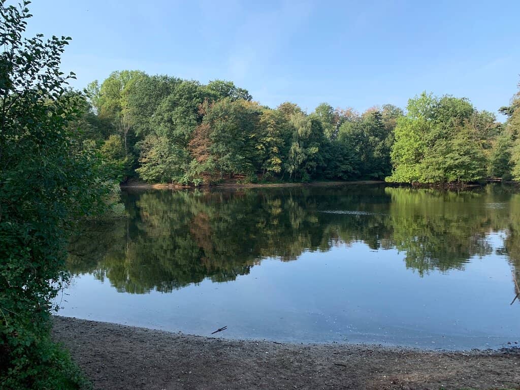 Plane Spotting Views