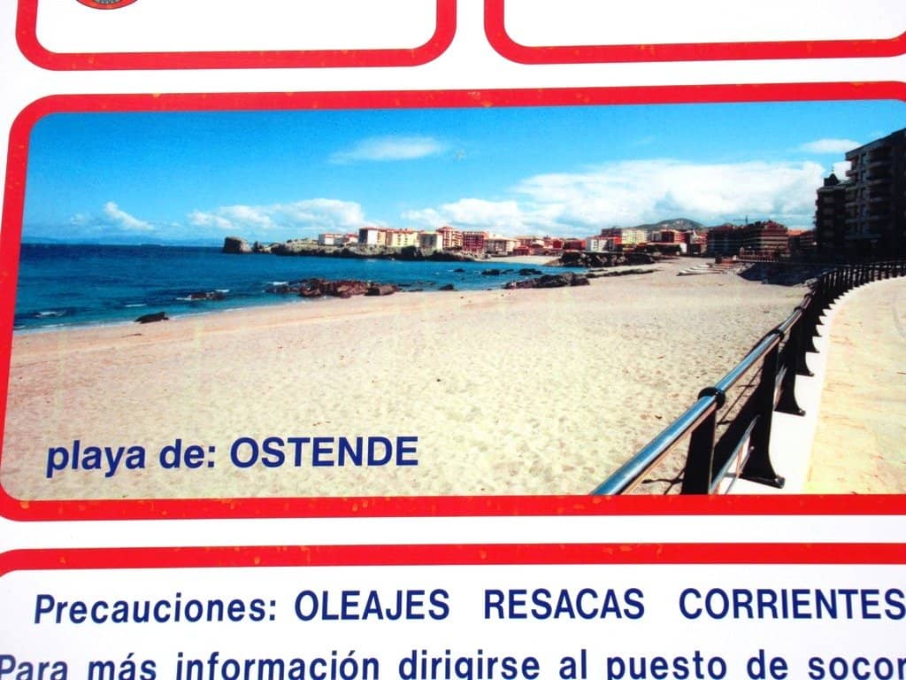 Vibrant Underwater Life