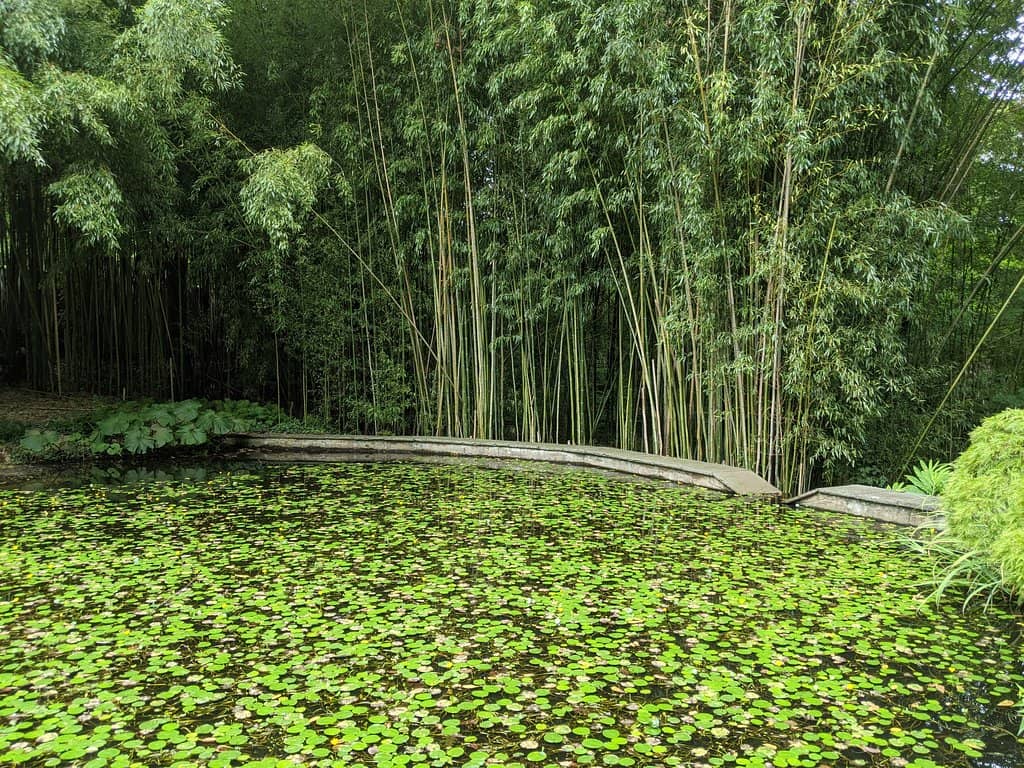Meditative Bench Nook