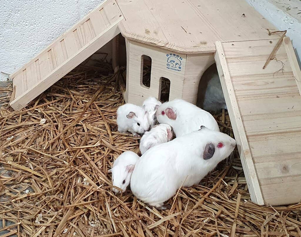 Outdoor Adventure Play