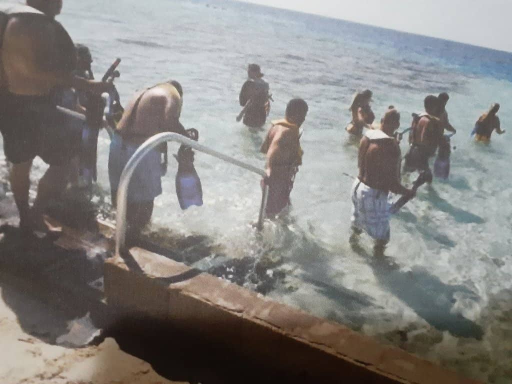 Shark & Stingray Snorkeling