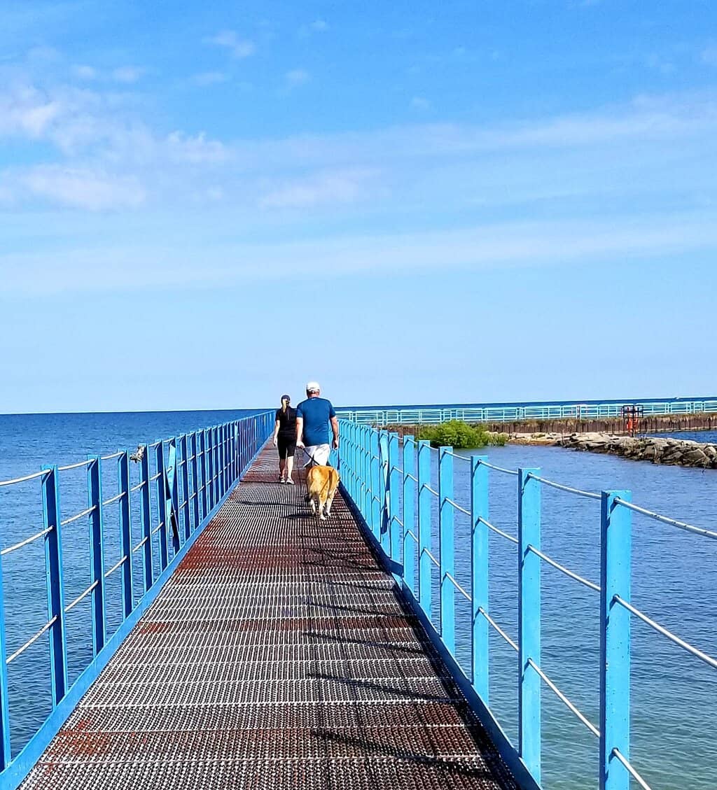 Stunning Marina Views