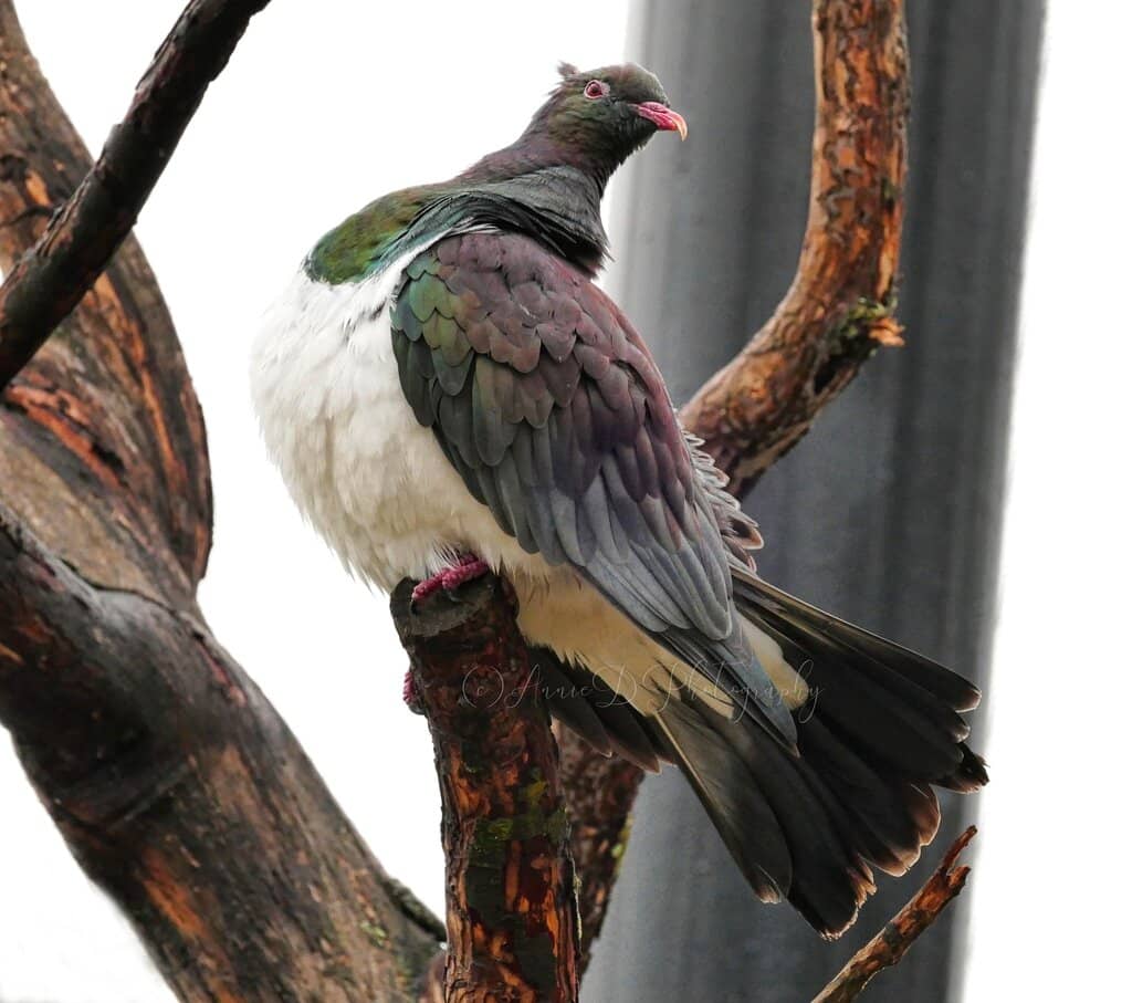 Success Story Spotting