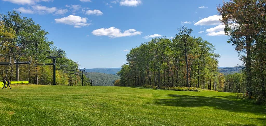 Cross-Country Skiing