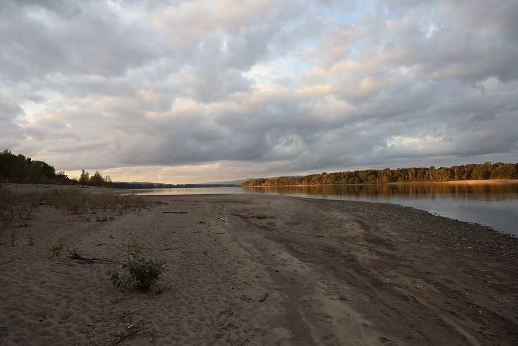 Wildlife Refuge Birdwatching