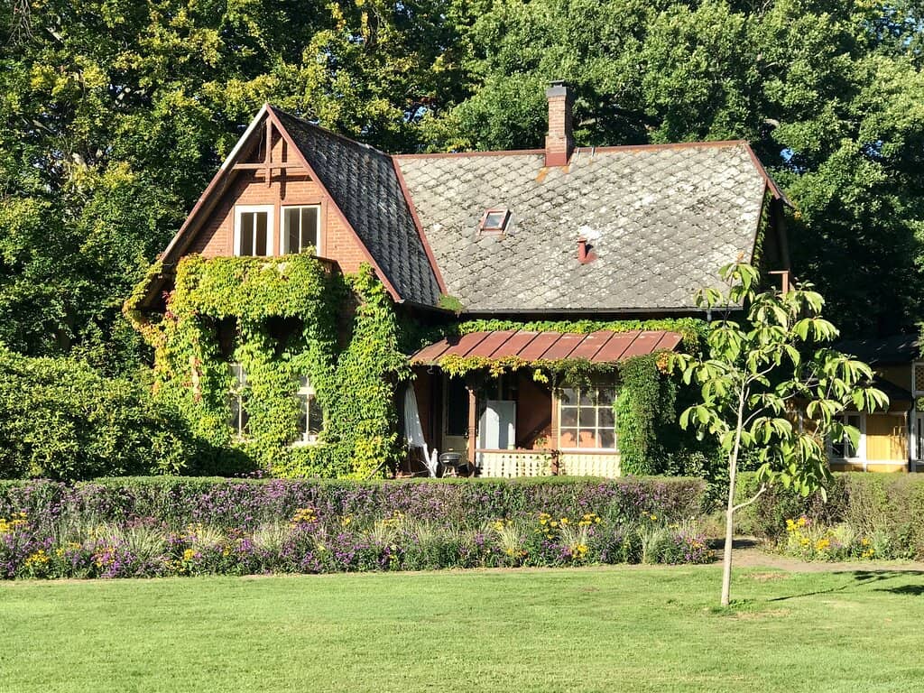 Vibrant Green Spaces