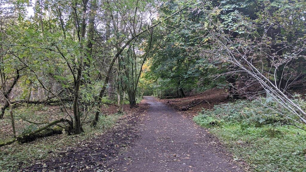 Visitor Centre & Courtyard