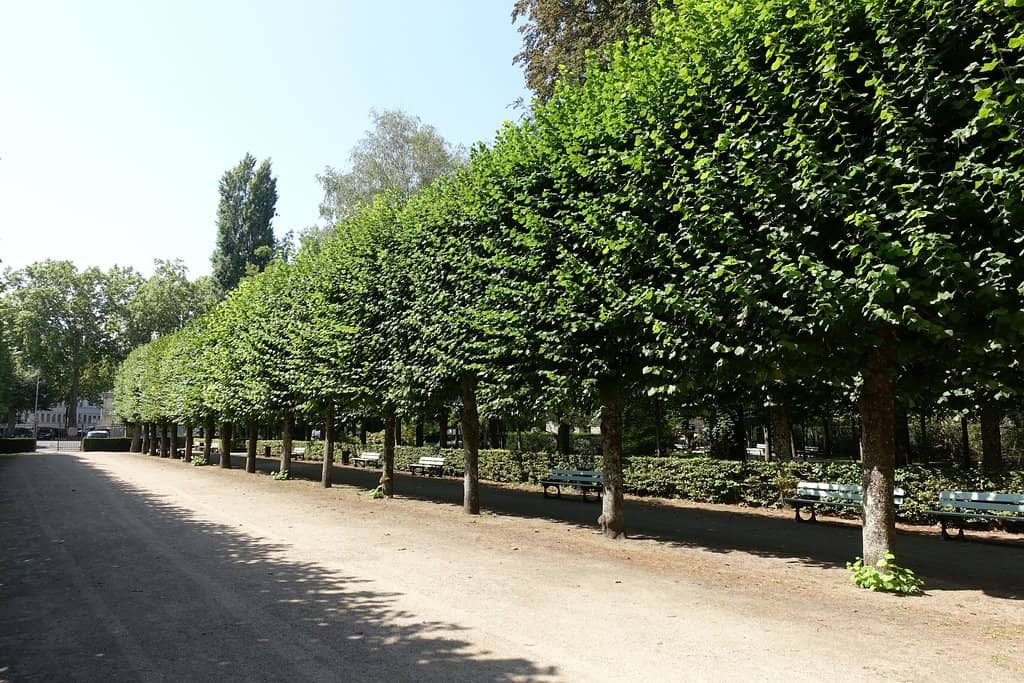 Gateway to the Marais