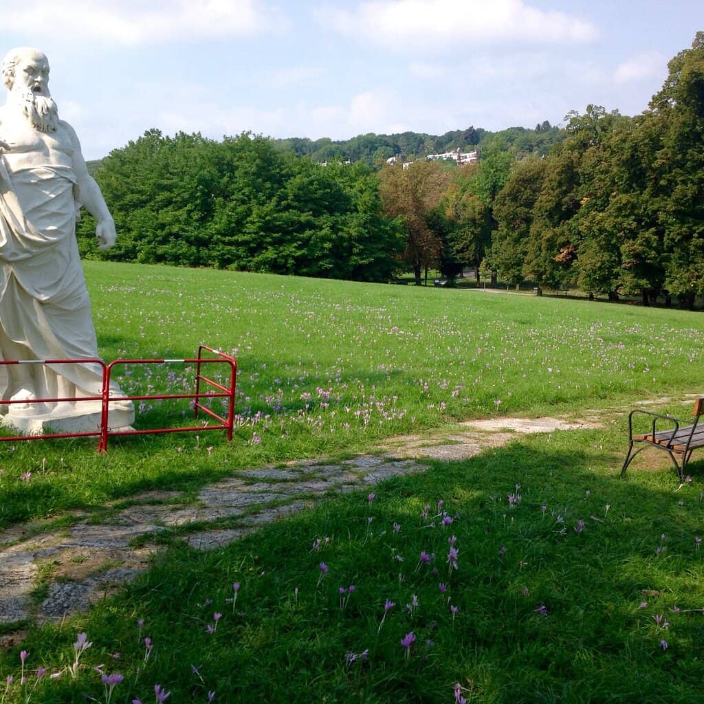 Children's Play Area & Farm