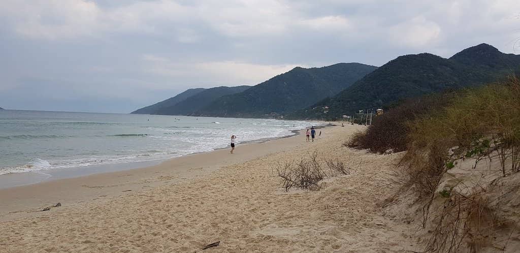 Beachside Refreshments