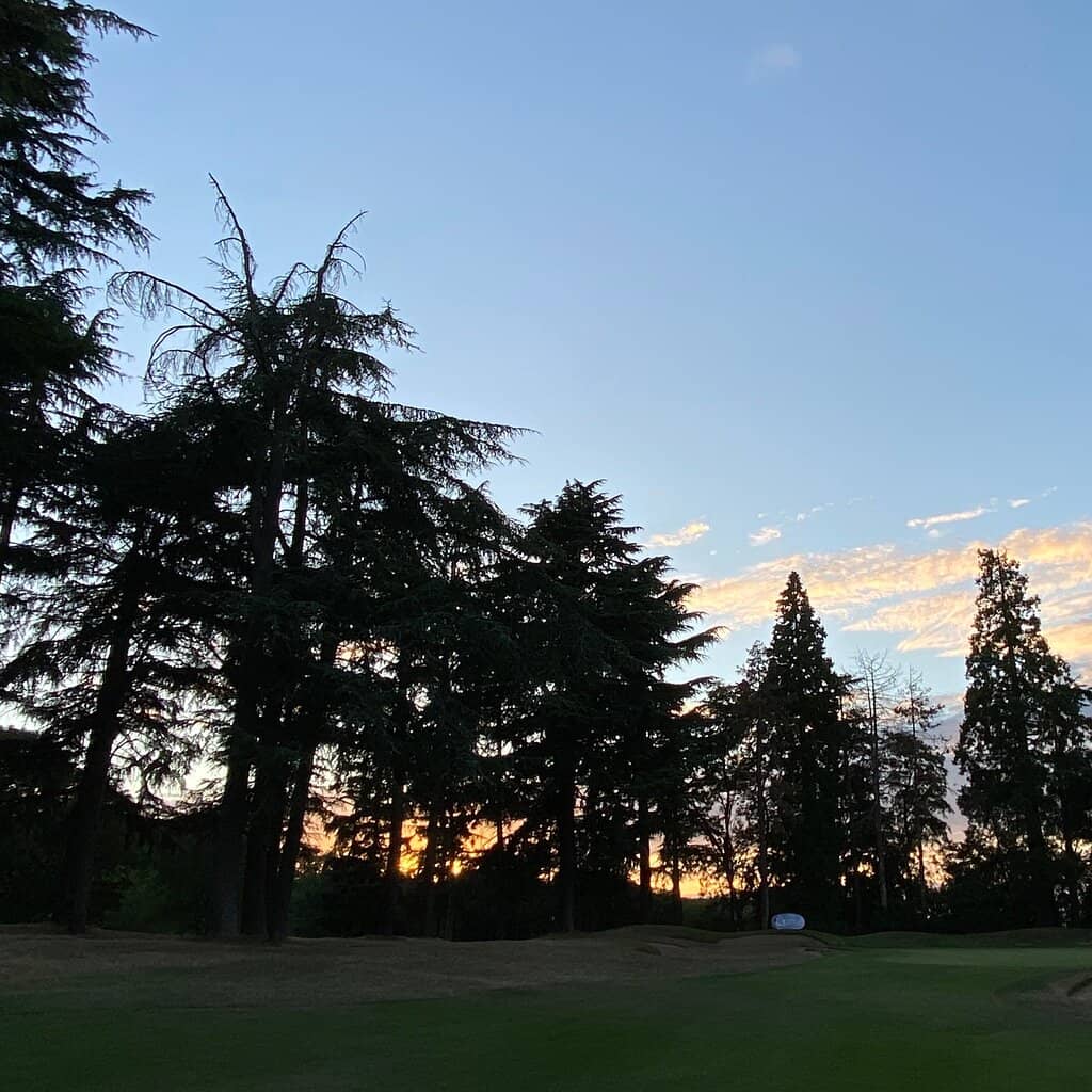 Refined French Cuisine