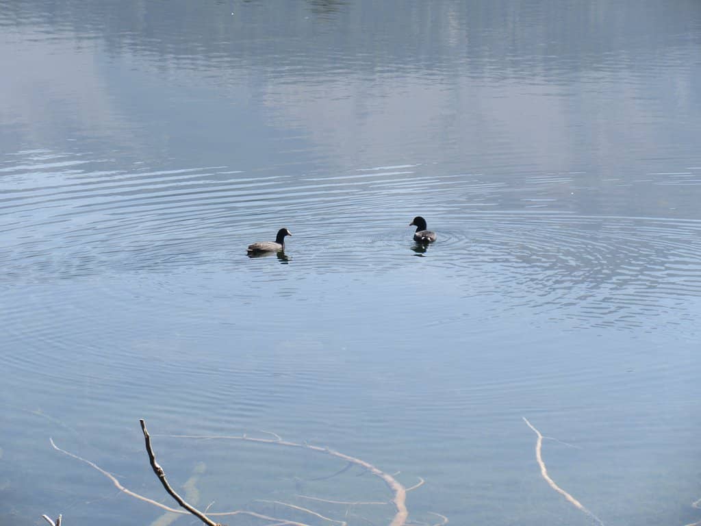 Lassen Peak Reflection