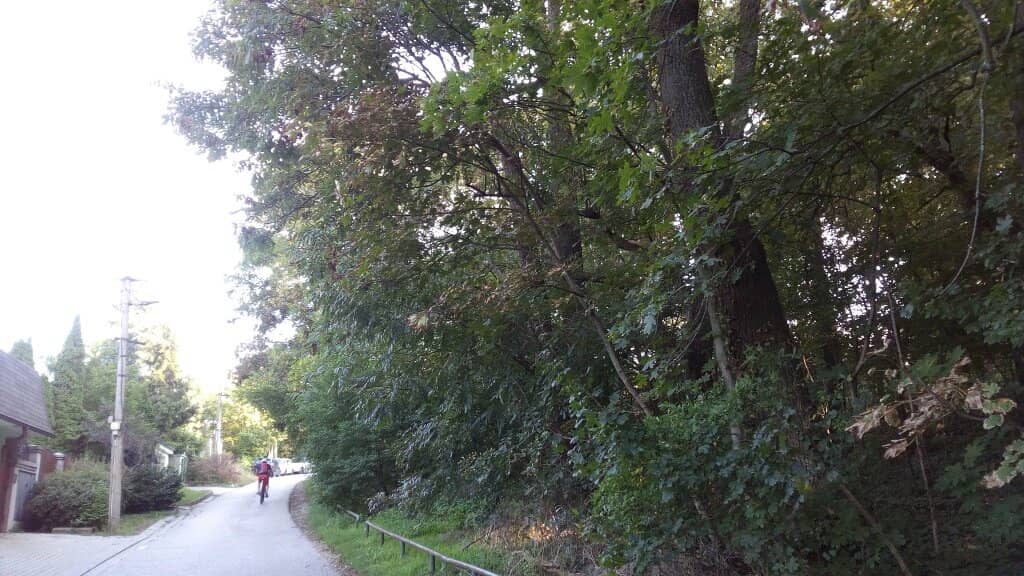 Panoramic City Views