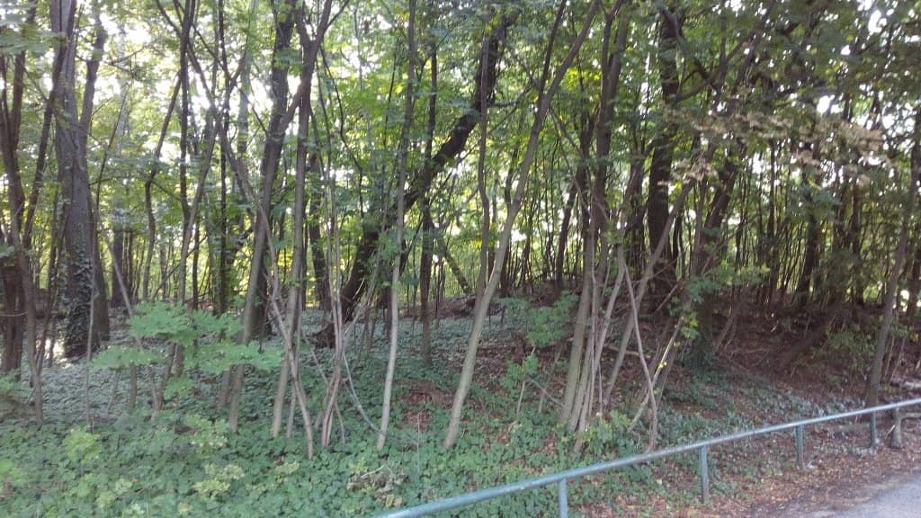 Children's Playground