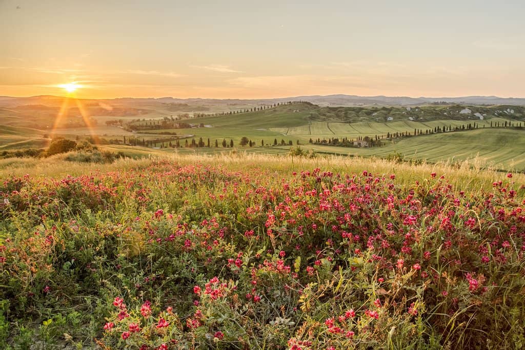 Crete Senesi Landscape