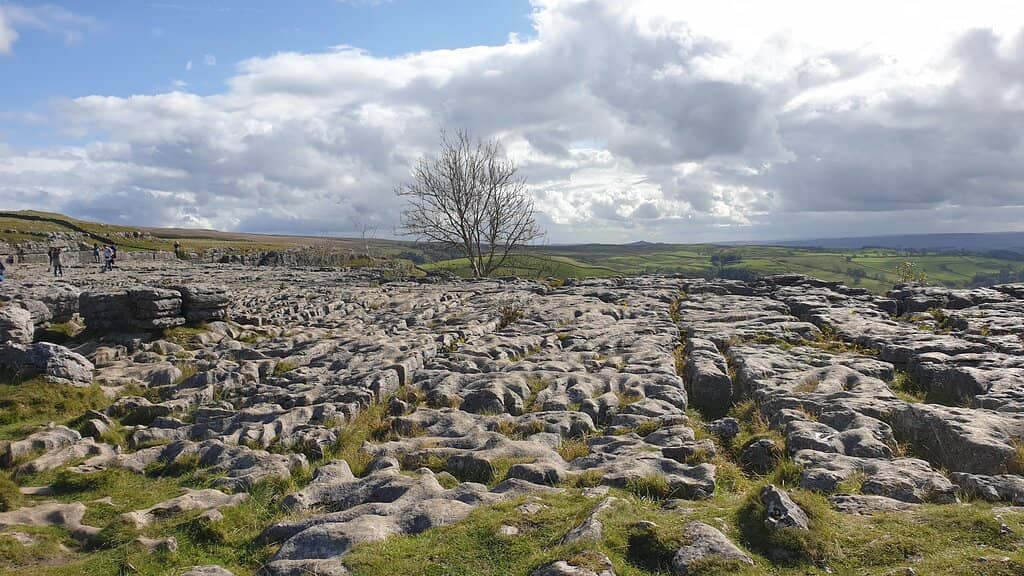 Limestone Pavement