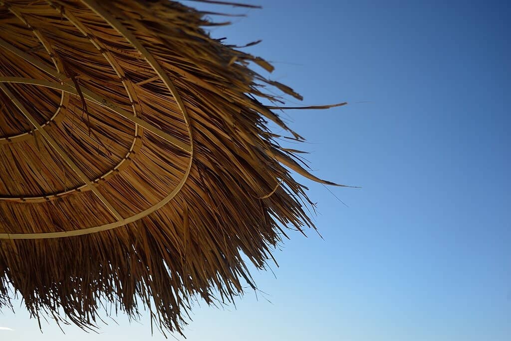 Family-Friendly Playgrounds