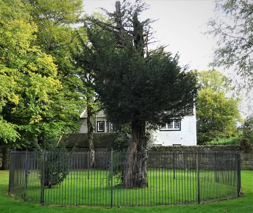 The Monument's Crown