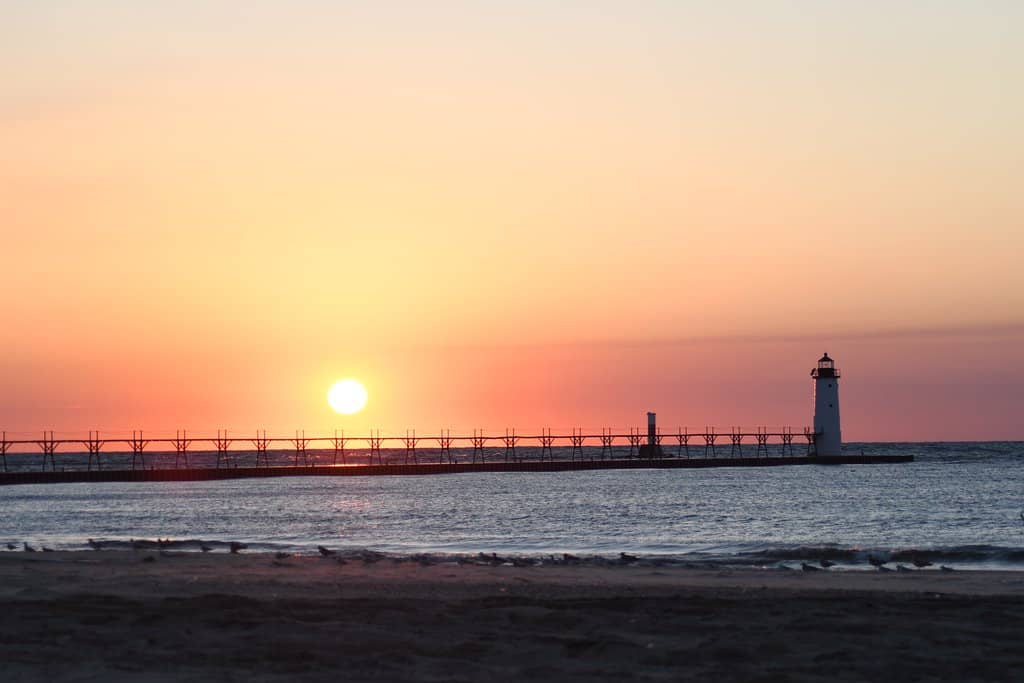 Seagull's Beach Grill