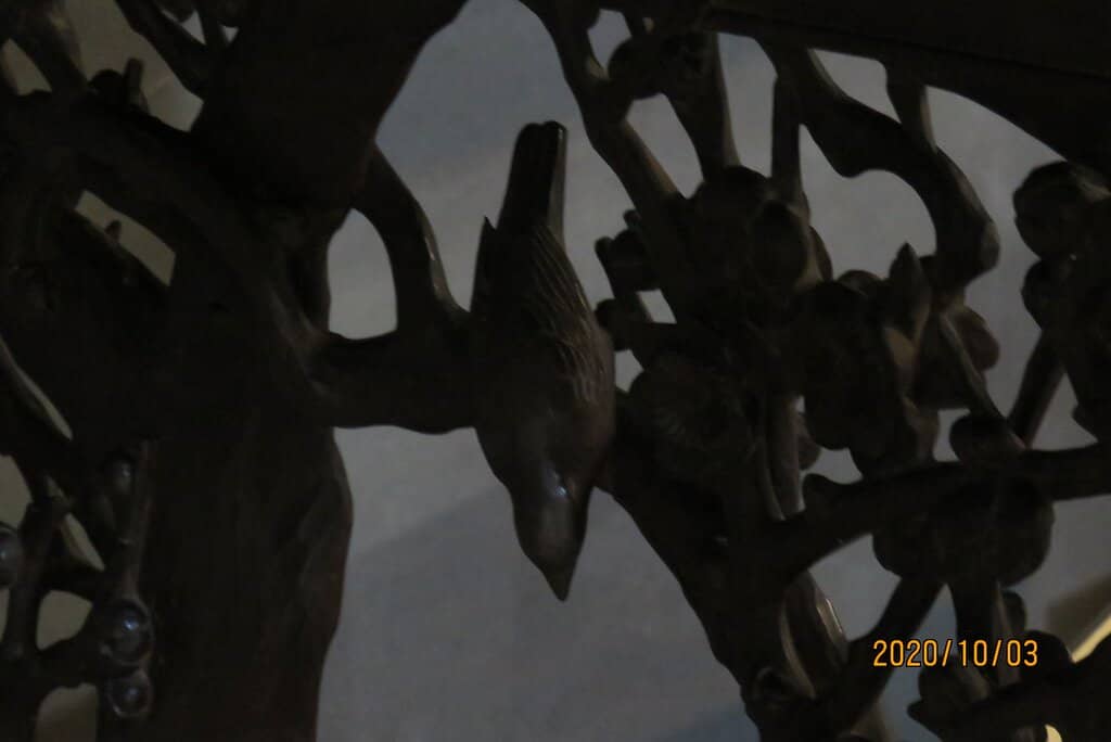 Tranquil Japanese Garden