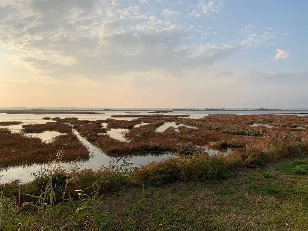 Isola degli Spinaroni