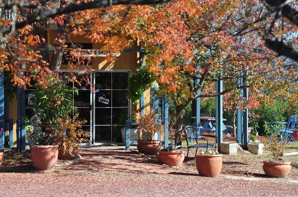 Vineyard Views & Grazing Platters