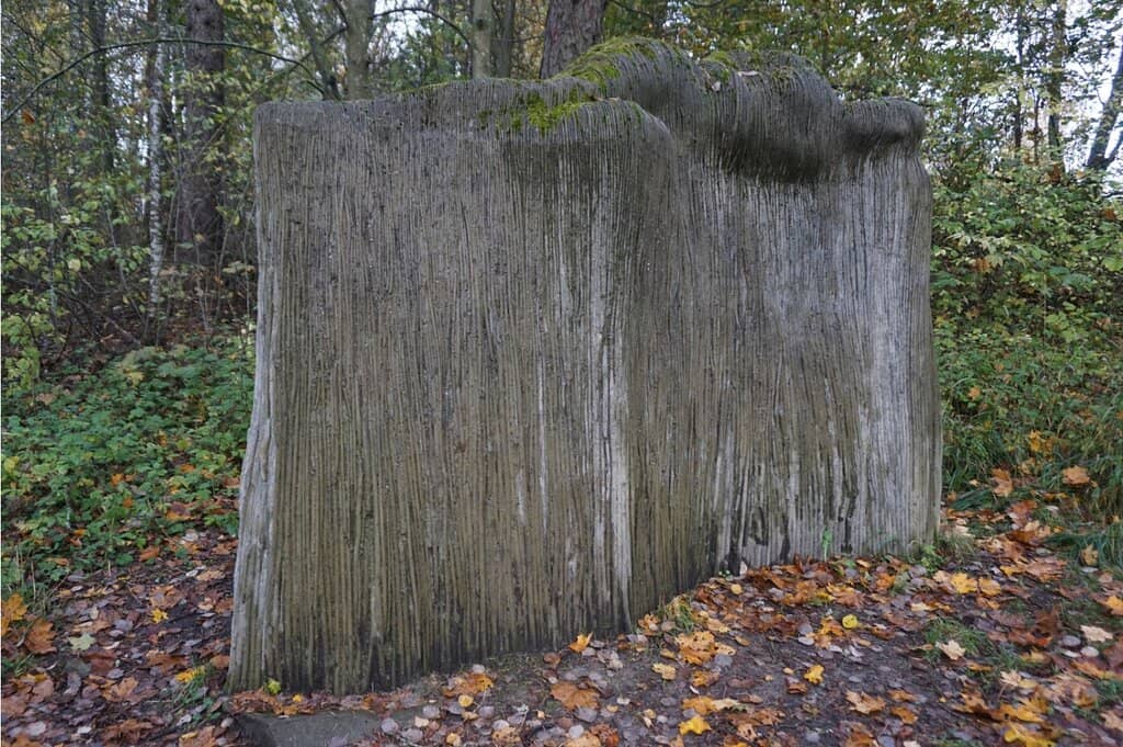 Panoramic City Views