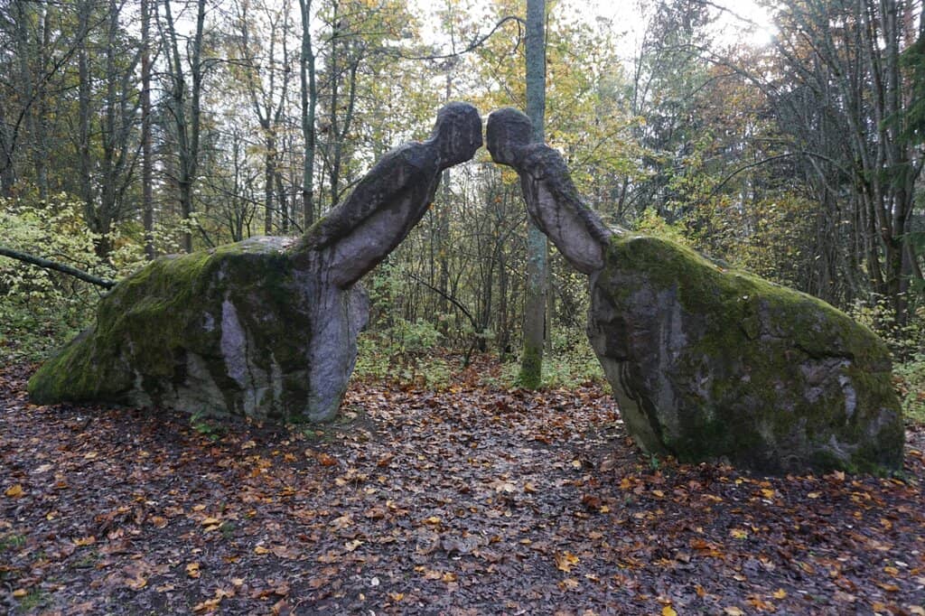 Peaceful Forest Trails