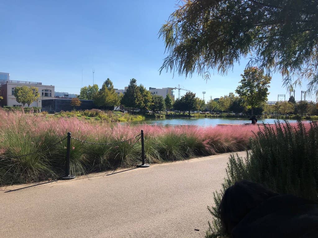 Scenic Walking Paths