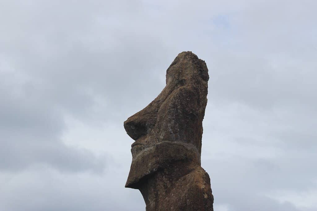 Unique Moai Orientation